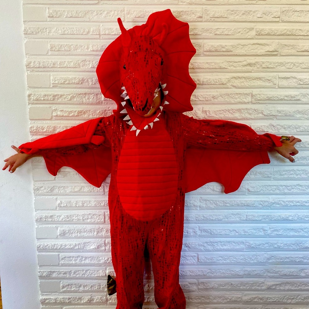 Pottery Barn Dragon Costume